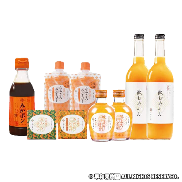 有田みかんの会社【早和果樹園】5種詰め合わせ まるごとみかんセット